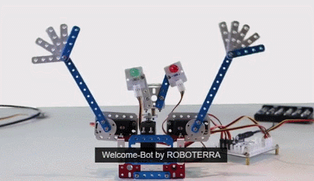 roboterra-robotics