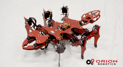 FireAnt Hexapod Robot